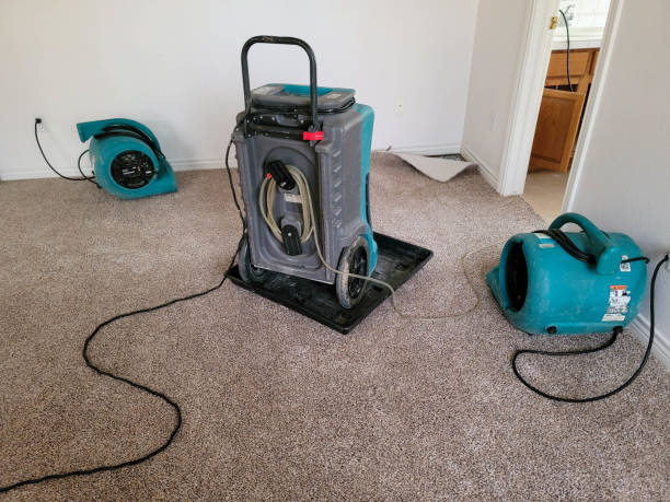 Best 24/7 water damage repair  in Yoakum, TX