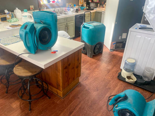 Best Water damage restoration services  in Yoakum, TX