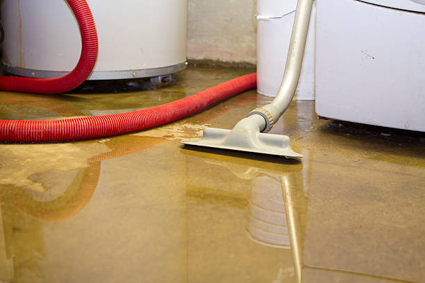 Reliable Yoakum, TX Water damage restoration Solutions