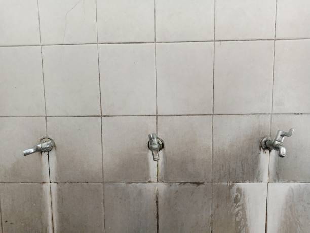Best Flooded house restoration  in Yoakum, TX