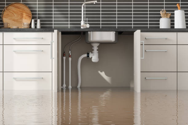 Best Water damage contractors near me  in Yoakum, TX